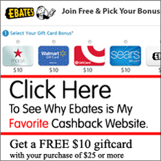 ebates with boarder